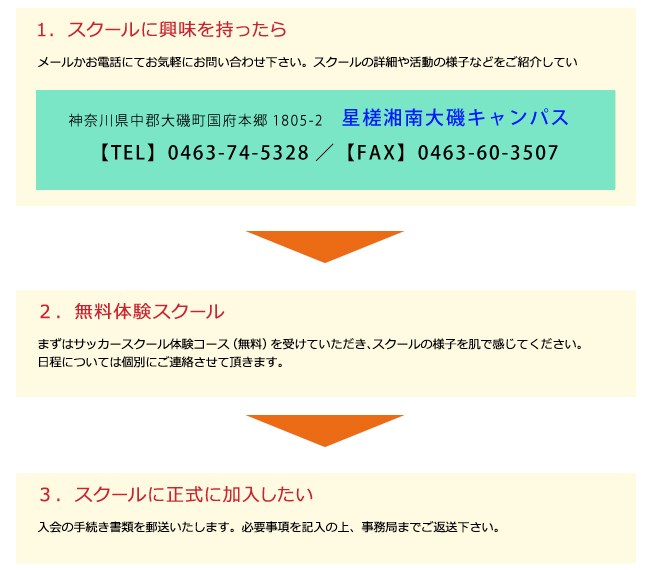 星槎スポーツクラブ　申込から入会までの流れ