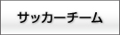 星槎スポーツクラブ　サッカーチーム紹介